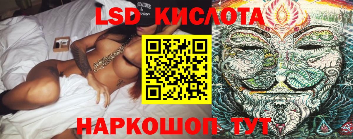 Выборг  Наркотические марки 1500мкг  наркота  Вход с VPN 